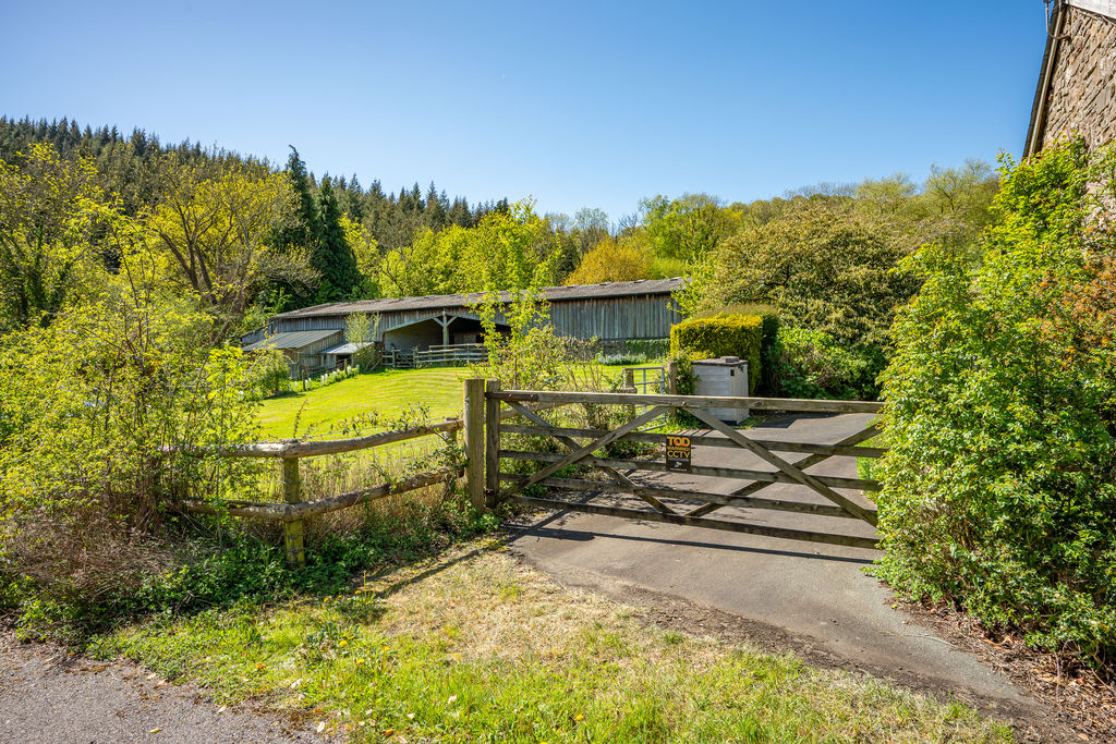 Access to enclosed paddock- click for photo gallery